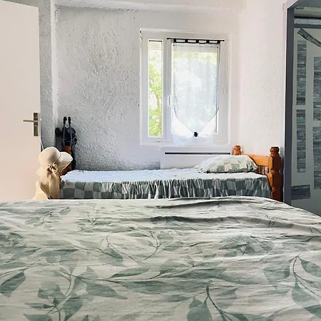 4-6pers-piscine-parc Arbore *