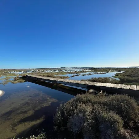 4-6pers-piscine-parc Arbore Daire